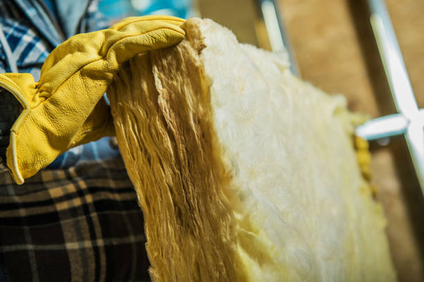 Best Residential Insulation in Haynesville, LA